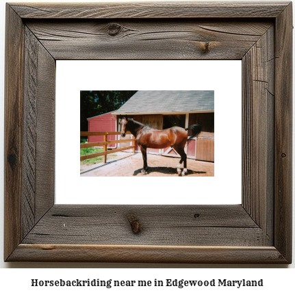 horseback riding near me in Edgewood, Maryland